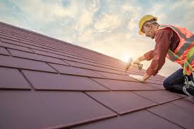 Best Roof Maintenance and Cleaning  in Belvidere, IL